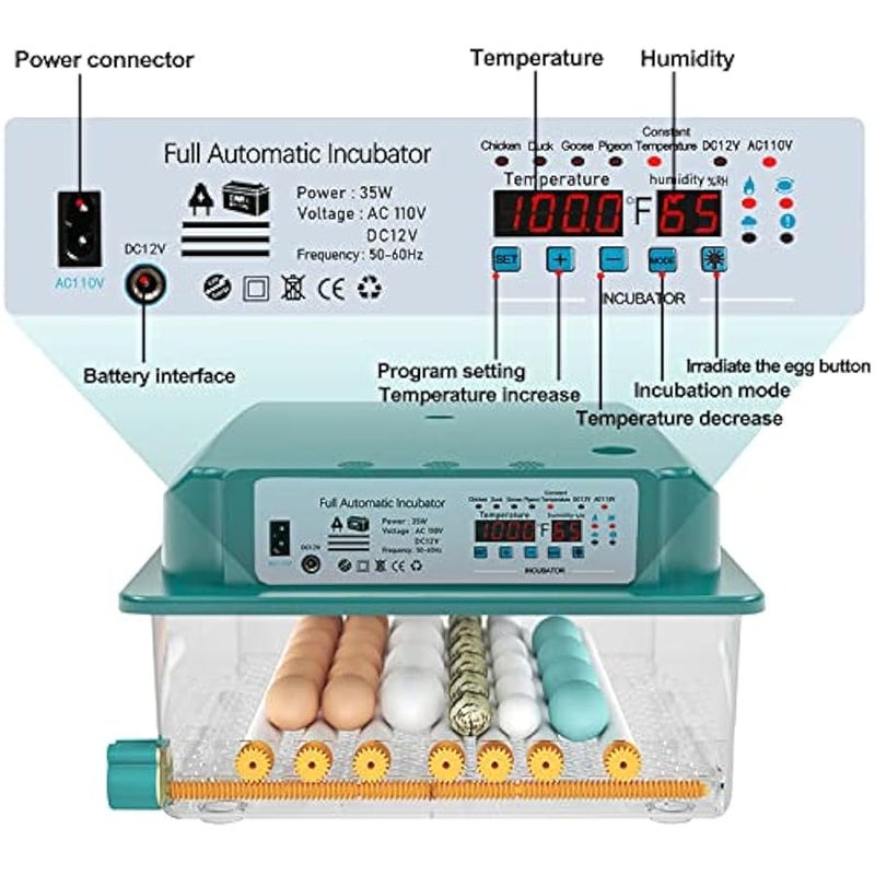 عربست حاضنات بيض 36 درجة فهرنهايت من هيثيا، مراقبة الرطوبة، بيض الدوران التلقائي، حاضنة منزلية لتفقيس البيض، حاضنات بيض السمان مع شمعة بيض - Image 2